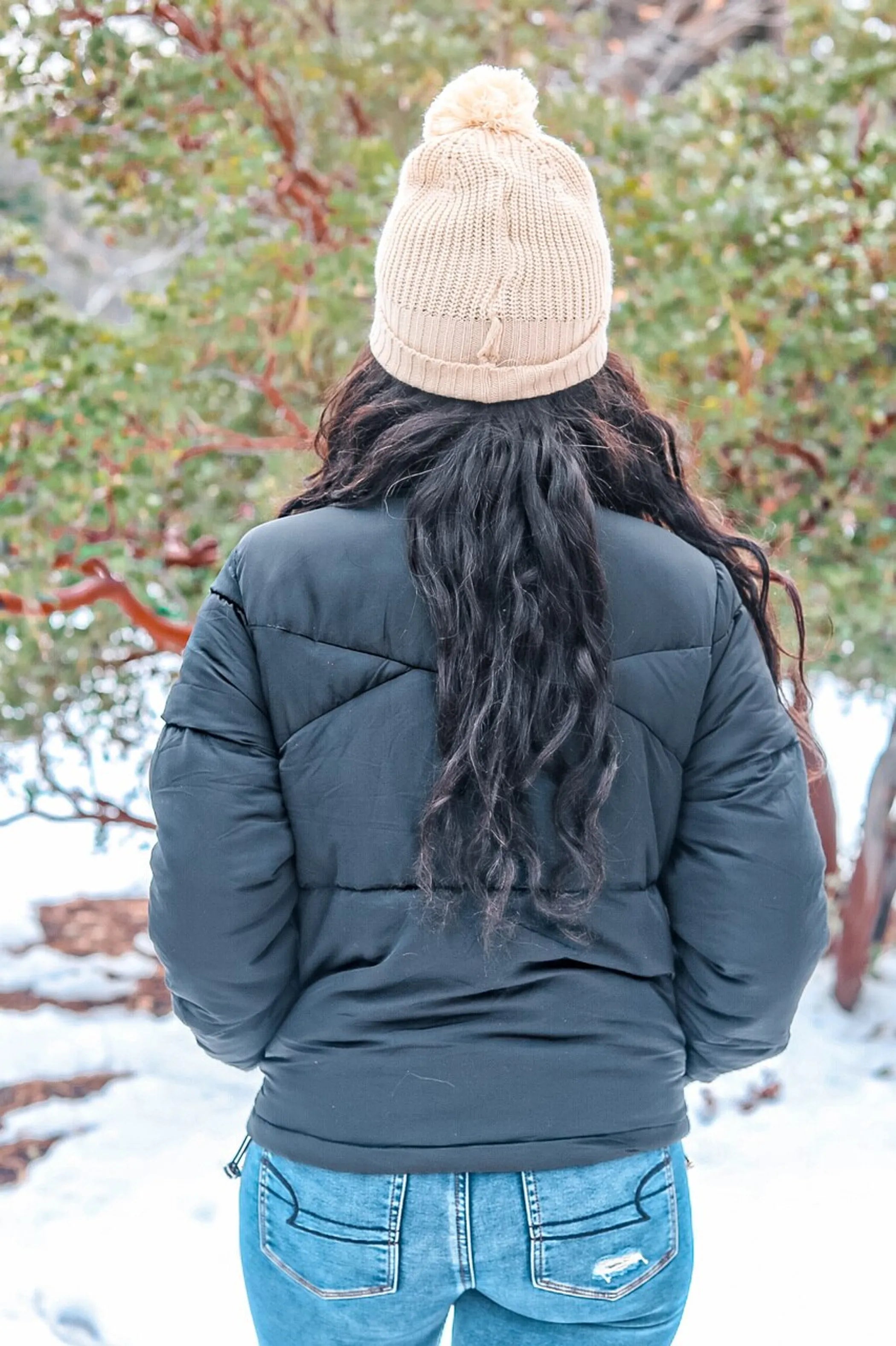 Winter Wish Puffer Jacket Black